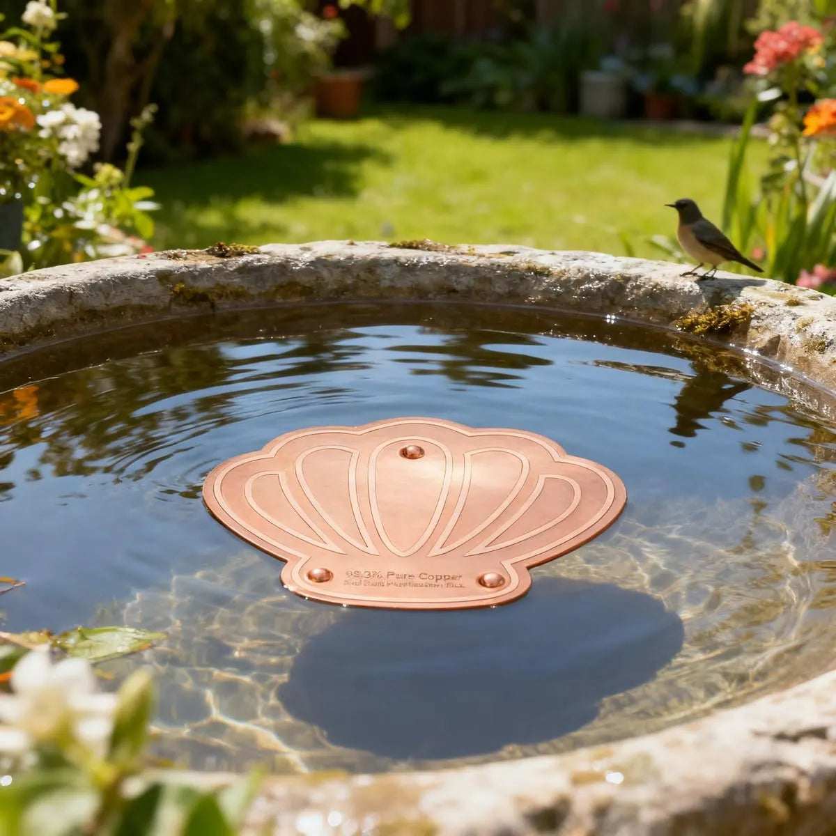 🪺Pure Copper Purification Disc for Birdbaths🍁