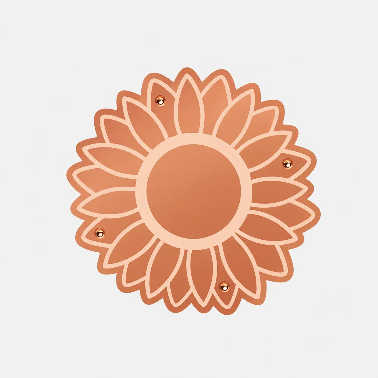 🪺Pure Copper Purification Disc for Birdbaths🍁
