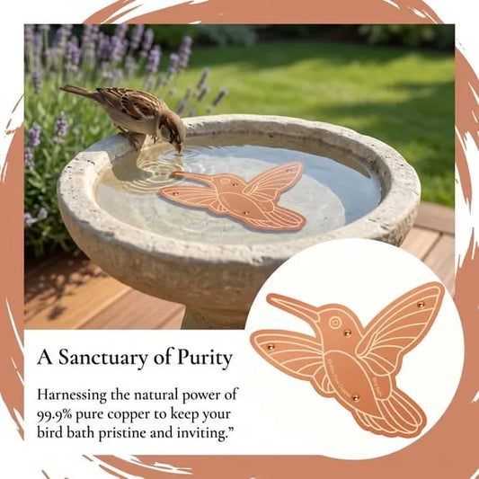 Pure Copper Purification Disc for Birdbaths🍁