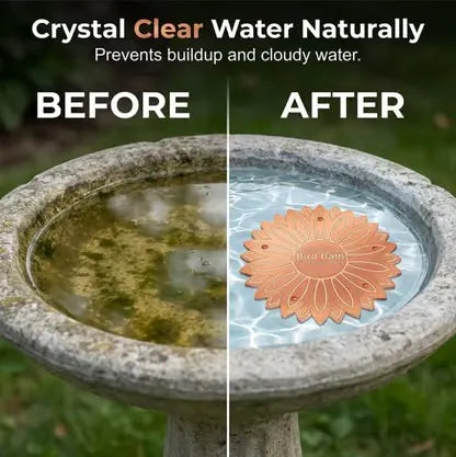 🪺Pure Copper Purification Disc for Birdbaths🍁