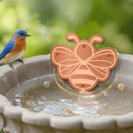 🪺Pure Copper Purification Disc for Birdbaths🍁